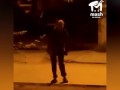 дикий енот