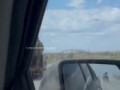 передок