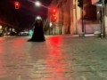 Чёрная бельгийская овчарка грюнендаль