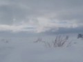 Воркута 18.05.2025.