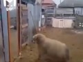 Хотел покурить…