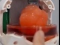 Цереброид