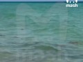 Шестилетнюю дочь «Миссис пышные формы» из России едва не съела акула на мелководье в амери