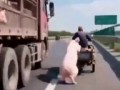 Спасите,памагите!