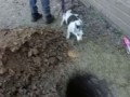 Да… он совсем не гений