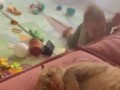 Это пипец