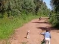 Заблаговременно