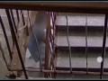 жена с ножом гоняла по подъезду мужа