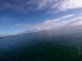 неожиданный гость в море