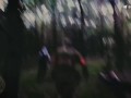 Свинотряс