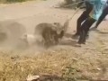 Странное…