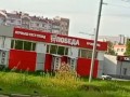 Лоси в Йошкар-Оле
