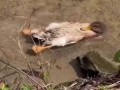 Когда понимаешь, что всем в понедельник на работу, а ты в отпуске!