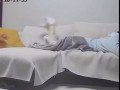 Про котов