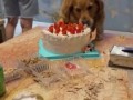 Лови момент