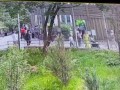 Бросает таблетки в клетку .