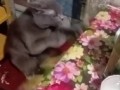 Бойцовский клуб