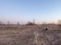 Когда нечего делать