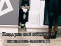 воспитатель