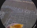 На станции «Новогиреево» МЦД-4 с 5 утра между прутьями забора висит тело мужчины с черным пакетом на