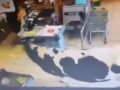 Корова зашла в краснодарскую «Пятёрочку», но осознала ошибку и собралась выходить обратно.