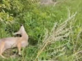 Напилась и спит