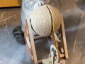 Теперь ваш кот может производить электричество, отрабатывая свой корм