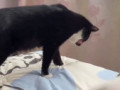 лишний