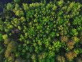 Пра Рязанская область