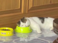 Уровень лени, к которому я стремлюсь