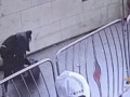 В метро пассажир избил мужчину за то, что тот задел его плечом на эскалаторе