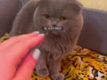 Сопротивление бесполезно