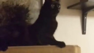 а…?