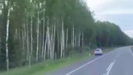 Медведь на дороге 2