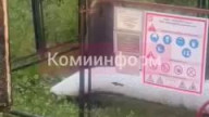 Замуровали демоны