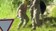 в кустах.