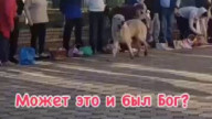 А может это и была проверка Бога ?