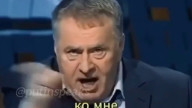 Мы — колония!