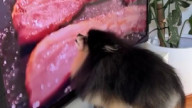 Как вкусно!