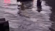 Погода в Казани.